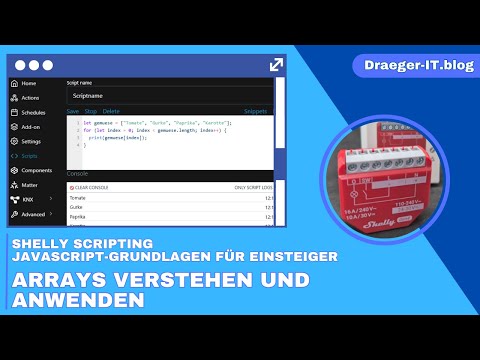 Shelly Scripting – JavaScript-Grundlagen für Einsteiger: Arrays verstehen und anwenden