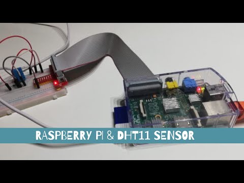 Raspberry PI &amp; DHT11 Sensor, schreiben in eine CSV Datei
