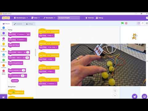 Makey-Makey Klavier mit Weintrauben in Scratch
