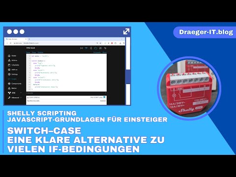Shelly Scripting – JavaScript-Grundlagen für Einsteiger: switch–case