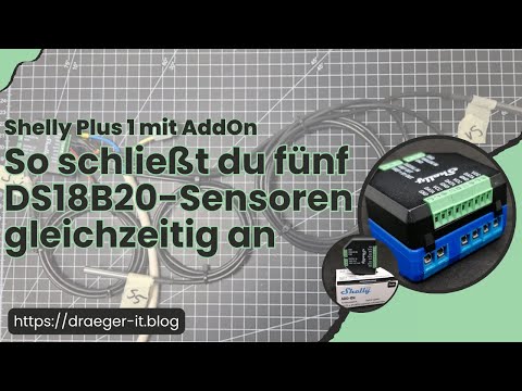 Shelly Plus 1 mit AddOn: So schließt du 5 DS18B20-Sensoren gleichzeitig an