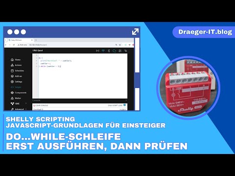 Shelly Scripting – JavaScript-Grundlagen für Einsteiger: do...while-Schleife