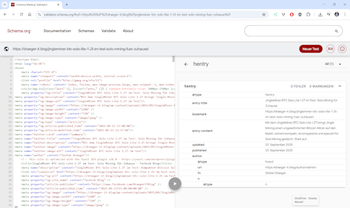 Schema Markup Validator - Step 2 - Analyse und hentry Daten