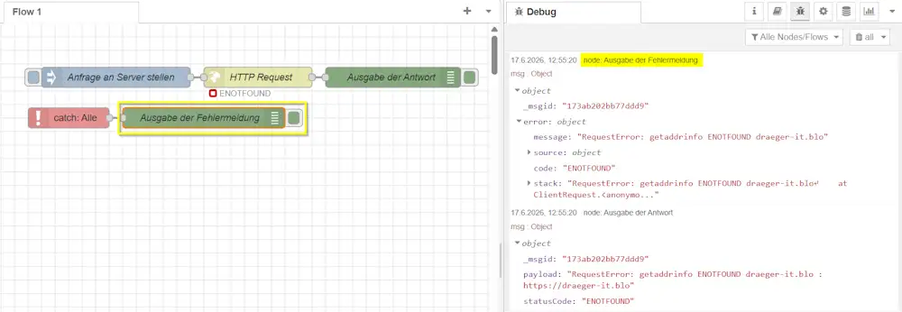 Node-RED Flow mit Catch-Node und Debug-Node zum Erfassen aller abfangbaren Fehler innerhalb eines Flows.