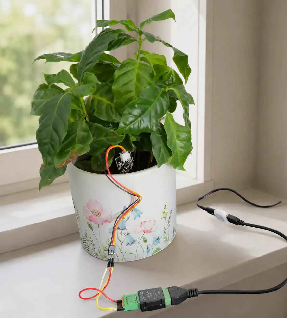 Shelly The Pill mit Analog Terminal Add-on und kapazitivem Bodenfeuchtesensor an einer Zimmerpflanze auf dem Fensterbrett